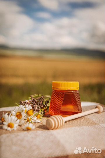 Алтайский мед