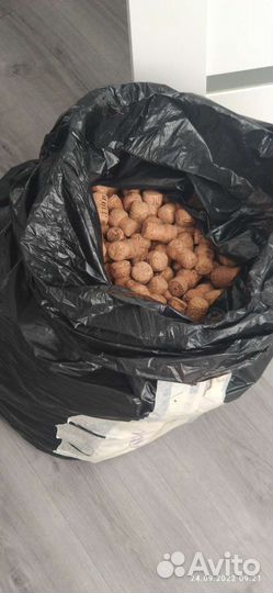 Пробки от шампанского