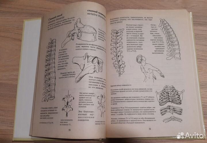 Кале-Жермен Бландин Твое тело