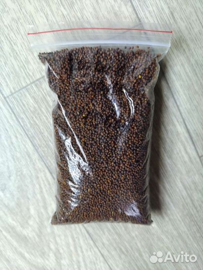 Семена микрозелени, агровата, контейнеры