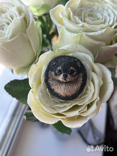 Броши выставочные