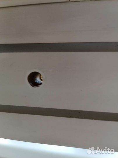 Карниз потолочный бу