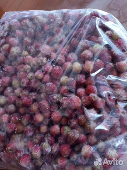 Лесные ягоды