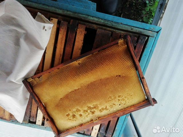 Улей для пчёл, инвентарь