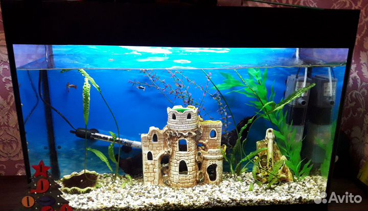 Аквариум