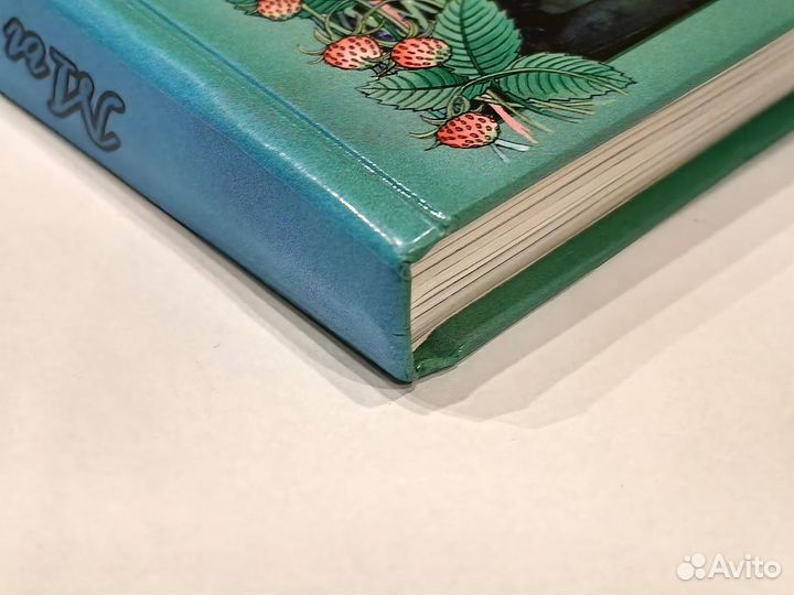 Ерофеева Елена. Мы родом из детства. Сказки 19 век