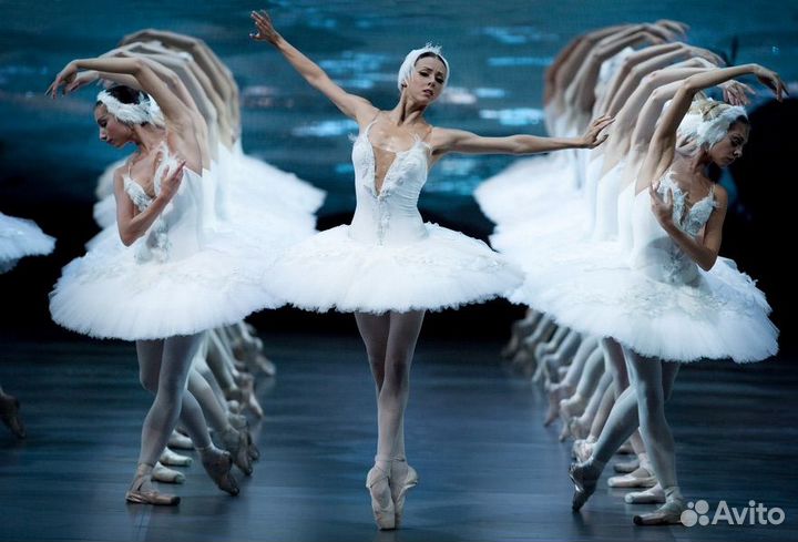 Билеты на балет Лебединое озеро в Большой театр