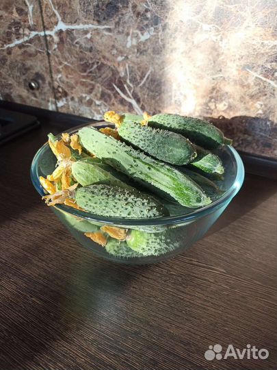 Огурцы, вкусные как мясо:)