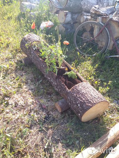 Цветник- бревно