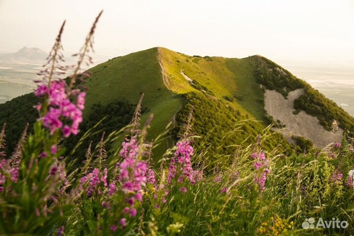 Экскурсия — Кисловодск — Гора Бештау: закаты ирасс