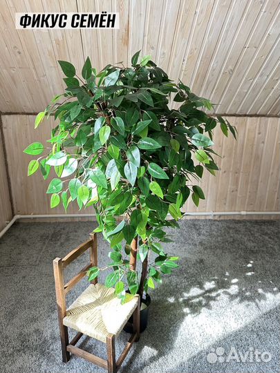 Искусственное дерево фикус