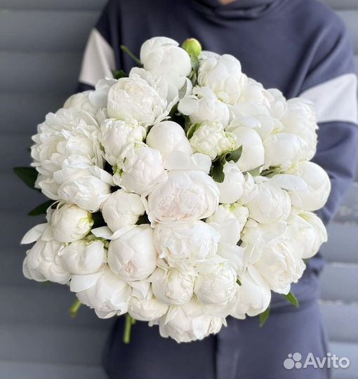 Пионы букет из пионов Цветы Доставка