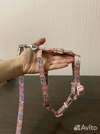 Анатомическая шлейка для собак