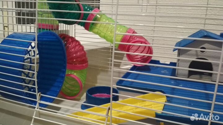 Клетки для джунгарских хомяков