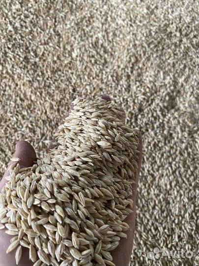 Зерносмесь дробленая, дерка