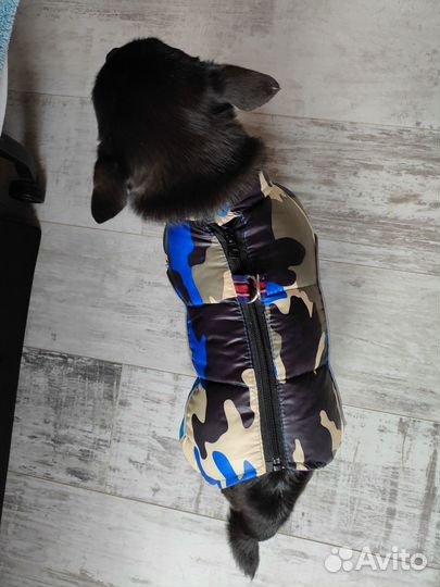 Зимний комбинезон для собаки мелких пород