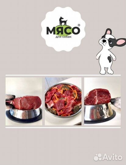 Мясо говядина для собак