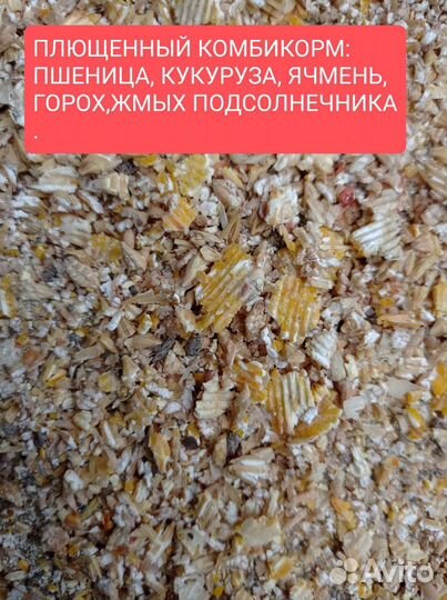 Плющеное зерно