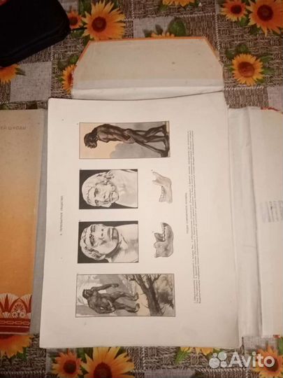 Учебное пособие 1948г