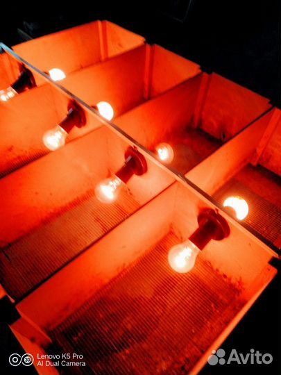 Брудер и клетки для цыплят.по- (штучно)