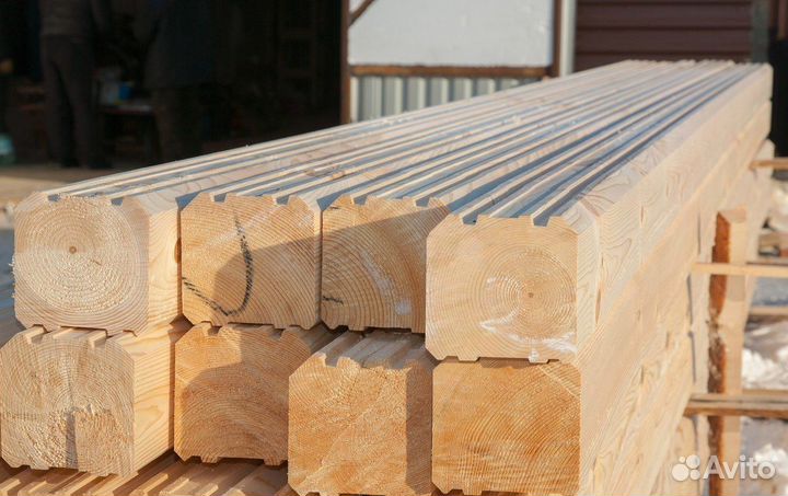 Профбрус из зимнего леса