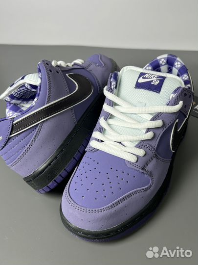 Кроссовки Nike Concepts x Nike SB Dunk Low Purple