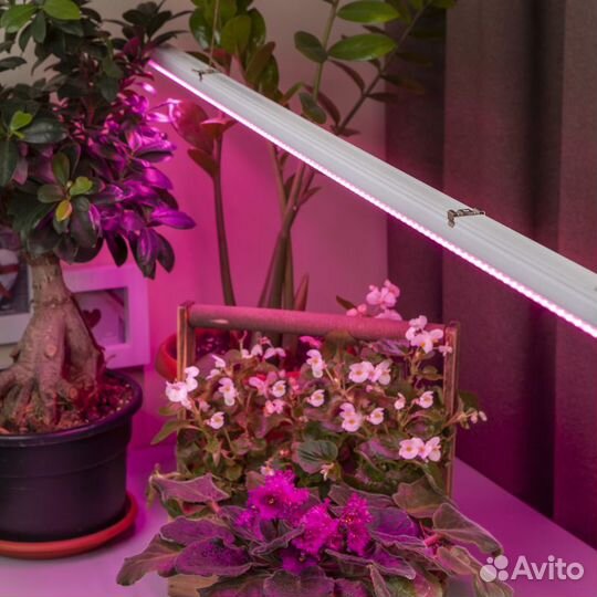Светильник для растений