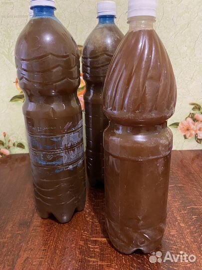Бутылка мед