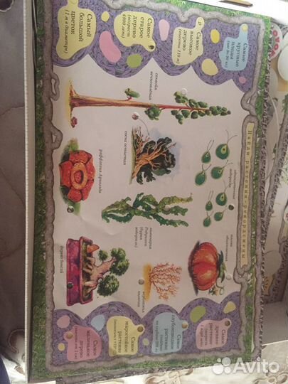 Электровикторина по окружающему миру и биологии