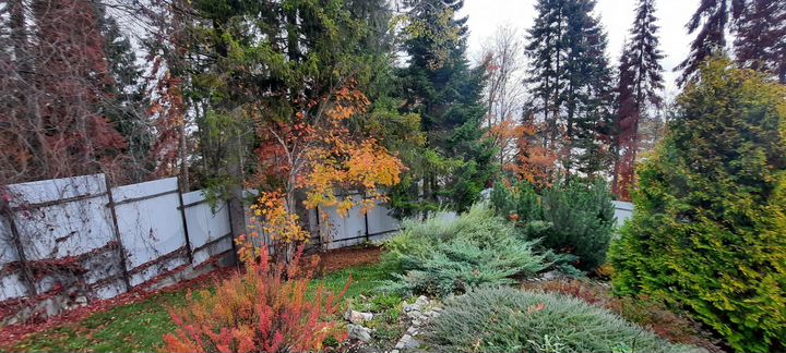 Дача 195 м² на участке 20 сот.