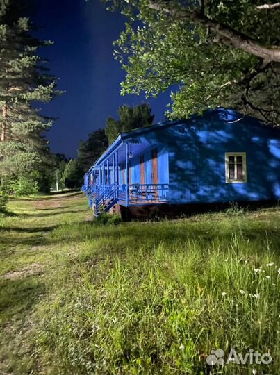 Аренда домиков на лесных озерах. Турбаза лето 2023