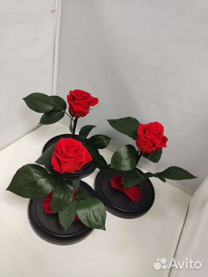Роза в колбе оптом и в розницу