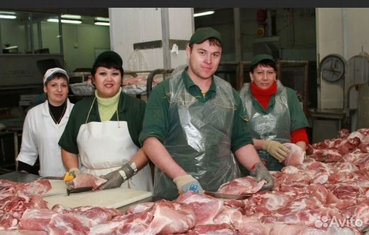 Выплаты еженедельно Сортировщики мяса Без опыта
