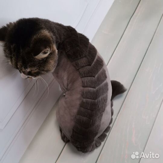 Модель на груминг