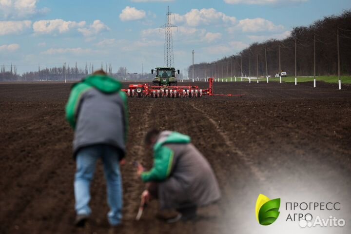 Рабочий по уходу за декоративными растениями