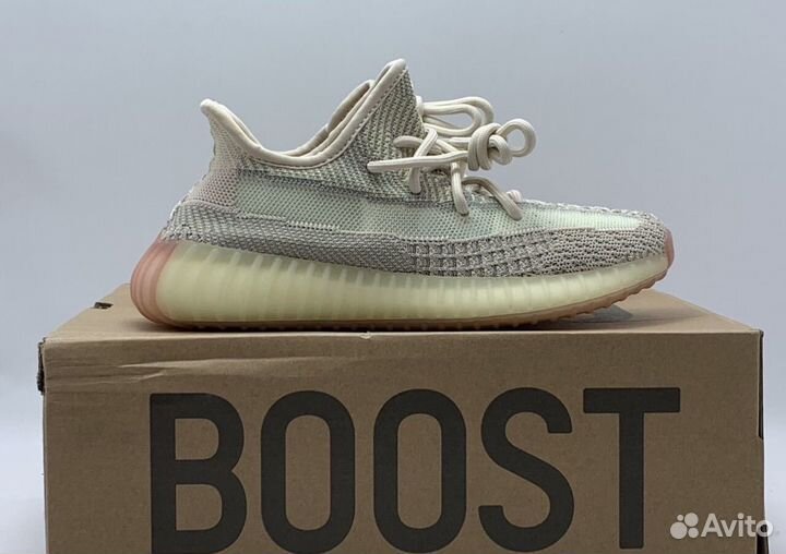 Adidas Yeezy Boost 350 V2