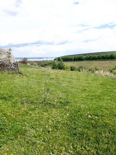 Участок 11 сот. (ИЖС)