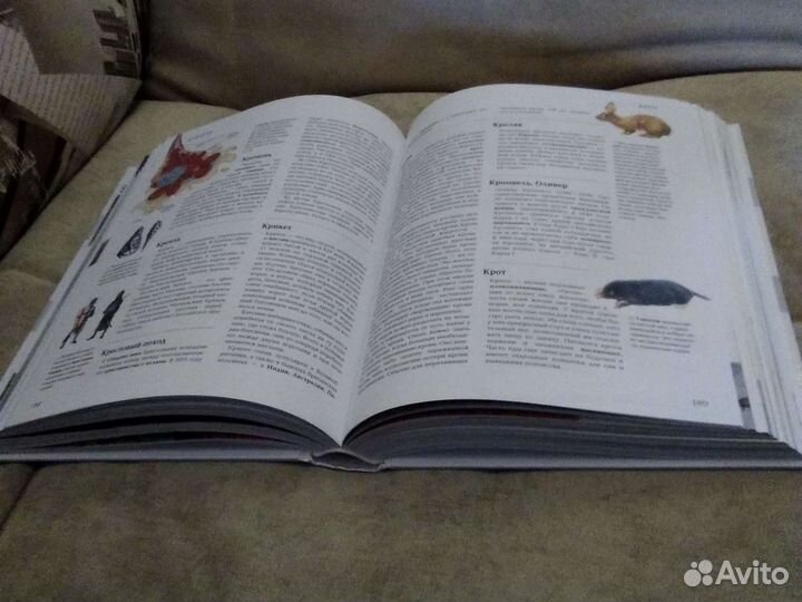 Большая иллюстрированная энциклопедия для детей