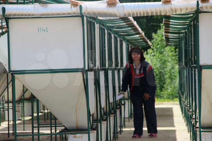 Участок 19,1 сот. (СНТ, ДНП)