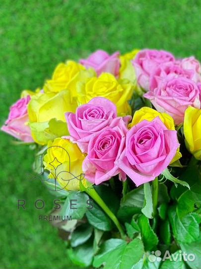 Букет из 25, 51 розы микс Аква и Пенни Лайн, розы