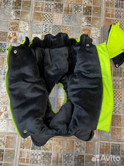 Зимний комбинезон Dino на кобеля