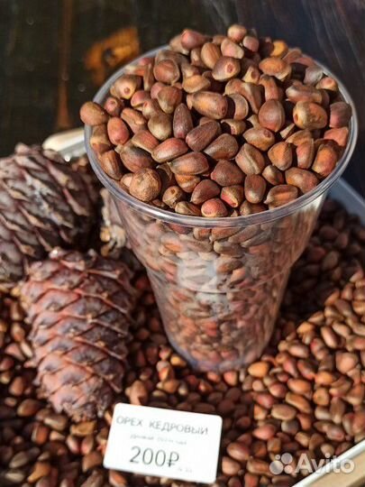 Орех кедровый 2024