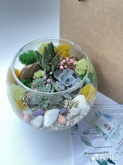 Подарок Декор флорариум суккуленты