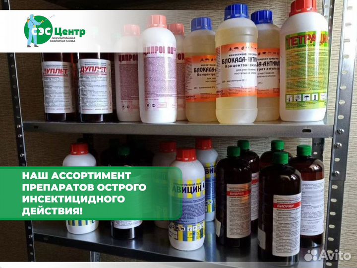 Уничтожение клопов, травить тараканов. Дезинфекция