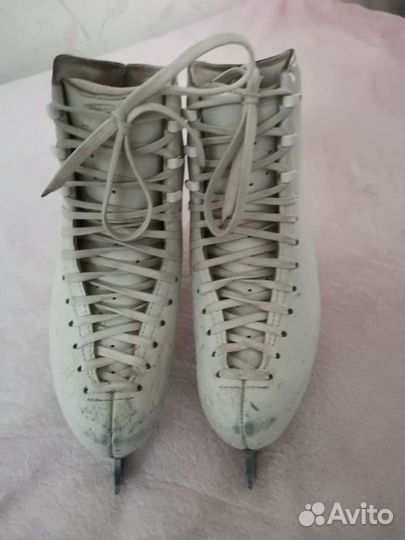 Коньки фигурные Edea Overture, размер 230