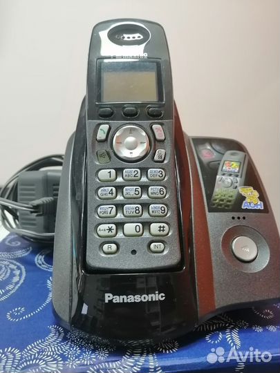 Panasonic