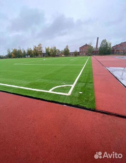 Трава в рулонах, газон