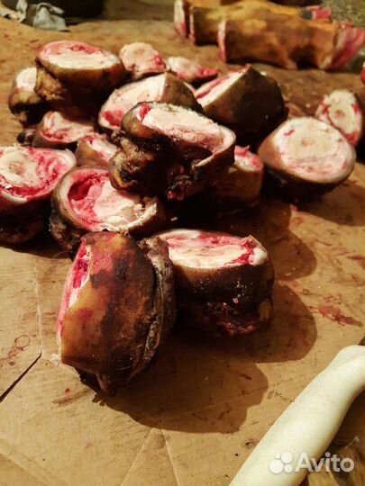 Кости для собак, обрезки говяжьи,семенники, вымя