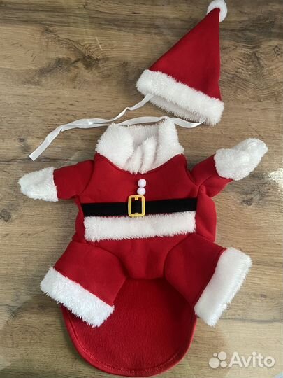 Костюм для кота