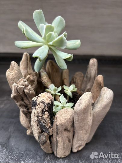 Наборы для творчества